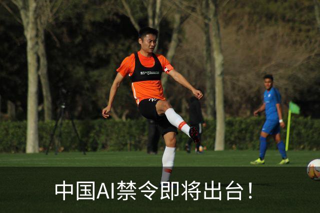 中国AI禁令即将出台！