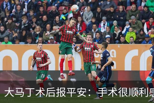 大马丁术后报平安：手术很顺利感谢大家，几周后我就会回来