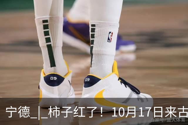 宁德 | 柿子红了！10月17日来古田利洋！拍照、逛吃、宋韵游园一站式拉满！