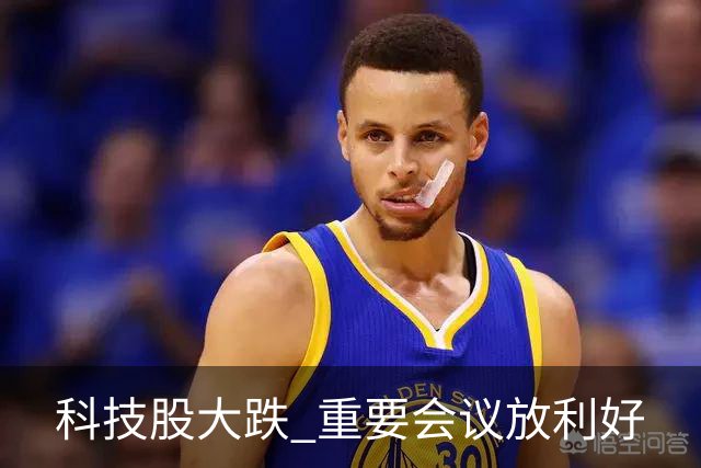 科技股大跌 重要会议放利好