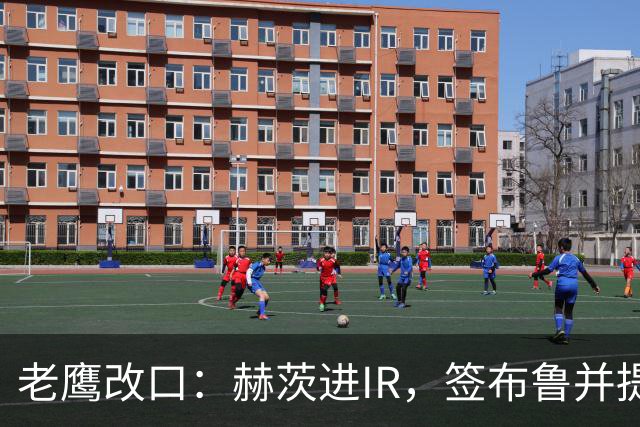 老鹰改口：赫茨进IR，签布鲁并提拔两人