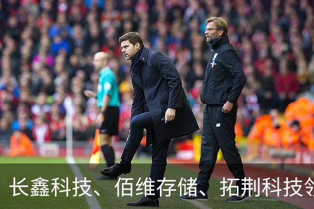 长鑫科技、佰维存储、拓荆科技领衔！多家科创板龙头公司开启新一轮回购